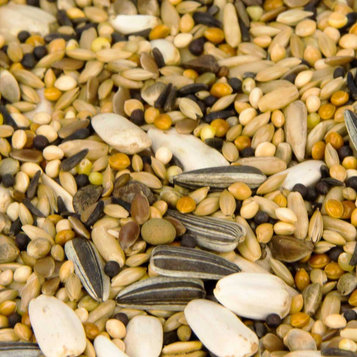 Leimüller Premium Mangime per allevamento parrocchetti ad alto contenuto di semi, dettaglio