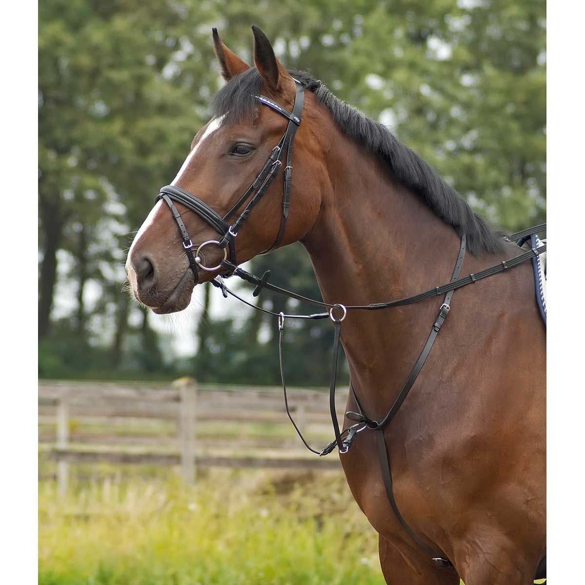 BUSSE Martingál BASIC-PRO, Bőr Segédszár Átvezető Gyűrűkkel, Pony