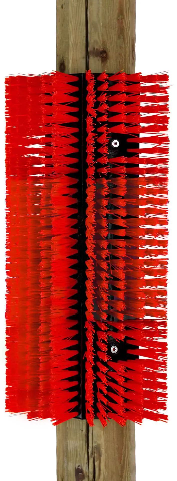 Spazzola tiragraffi flessibile Agrarzone 30x43 cm, in uso, in scuderia