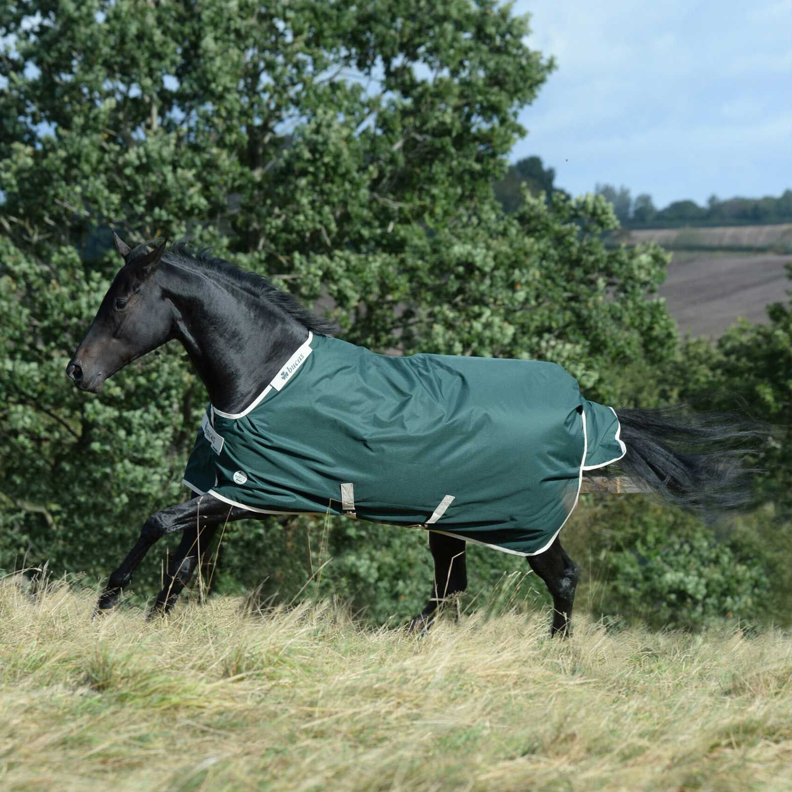 Couverture cheval Bucas Greenline Turnout 100g 130