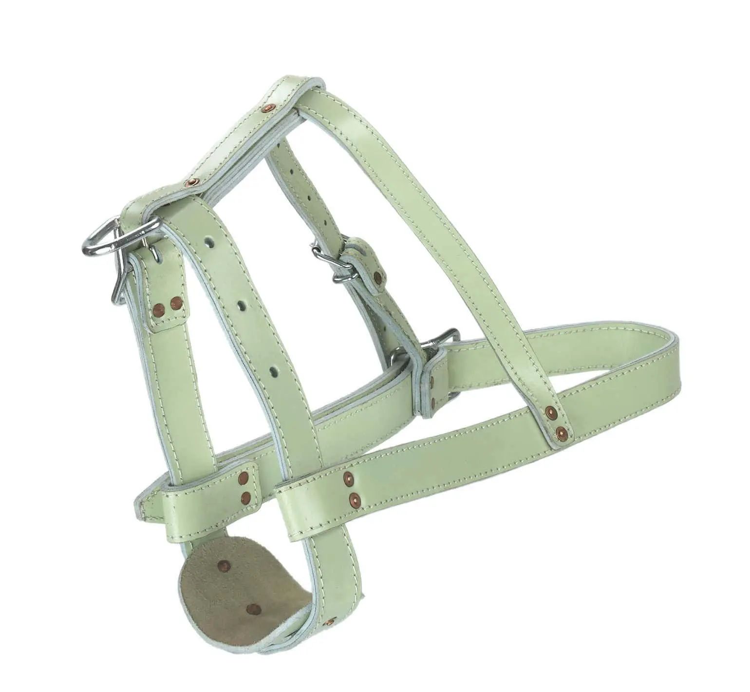 Licol taureau cuir double