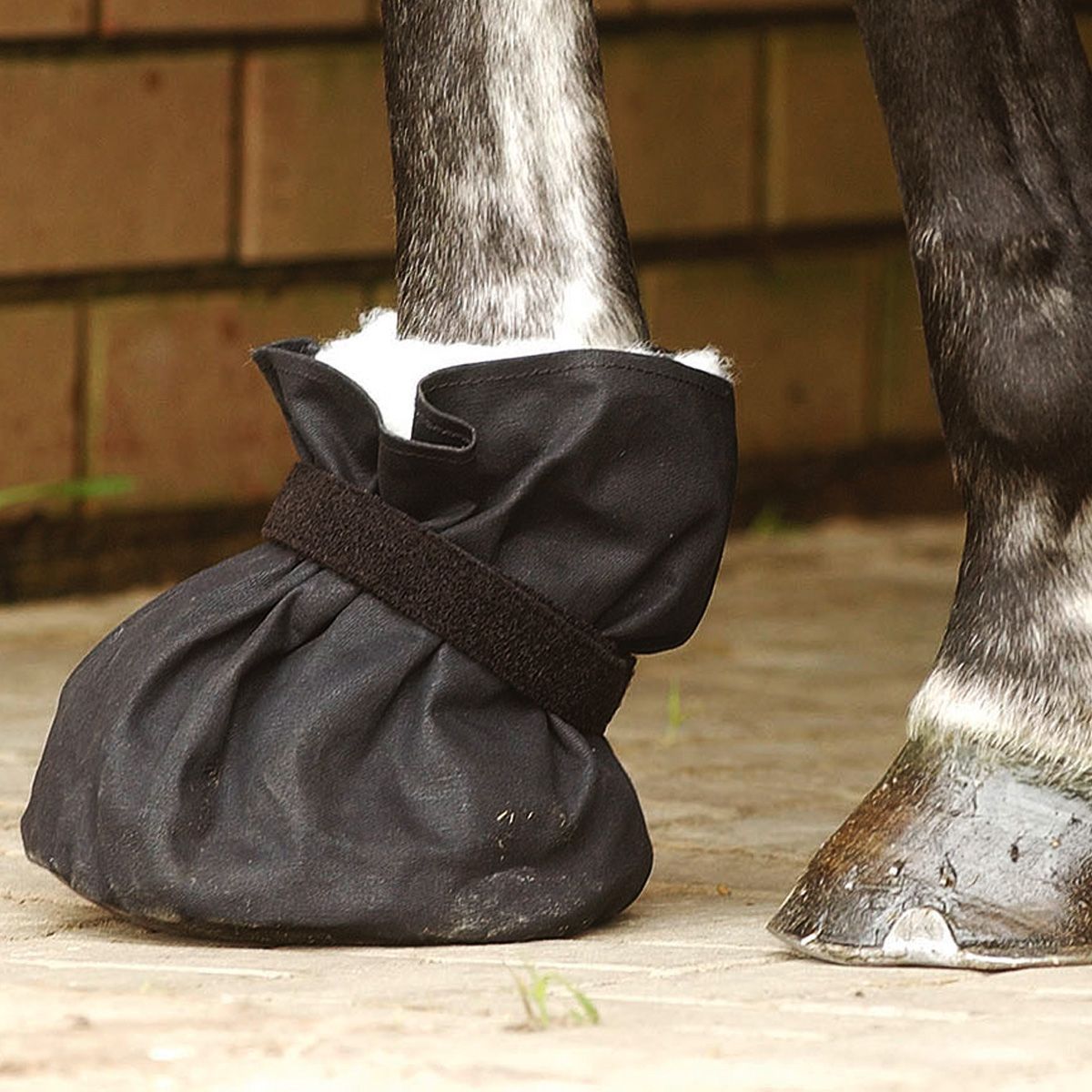 BUSSE Protection par bandage des sabots