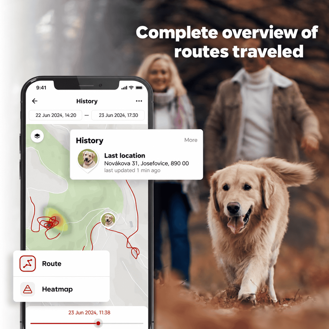 Hund, App, Historie, Tier, Golden Retriever, Hund, Hundebild, Haustier Zubehör, Leine, Smartphone-App