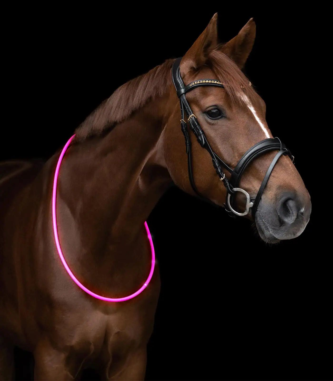 Waldhausen LED Leuchthalsring für Pferde, 150 cm zuschneidbar, pink