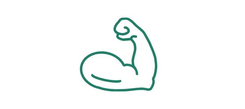 Développement musculaire