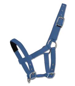 Blaues Halfter aus Gurtband mit verstellbaren Schnallen und Ring am Nasenriemen
