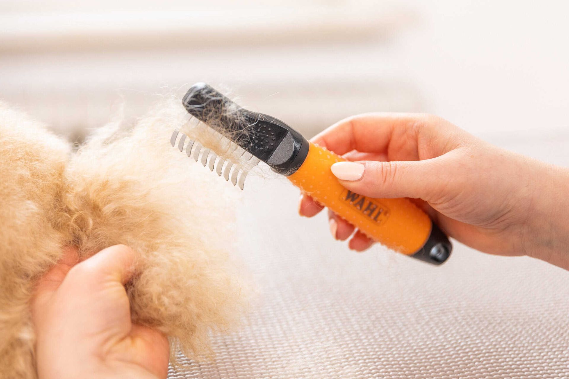 Wahl Entfilzungskamm für Hunde gegen Knoten, orange, im Einsatz