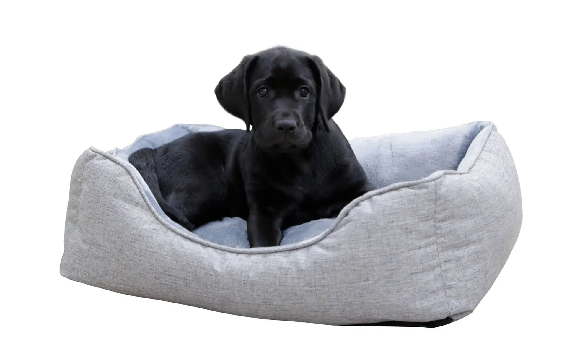 Kerbl Pet Cosy Bed Marie, Sustainable Dog Bed from Recycled PET, in use