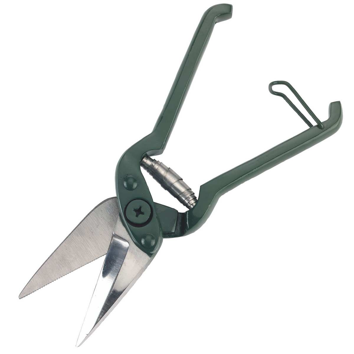 Claw shear with teeth for sheep