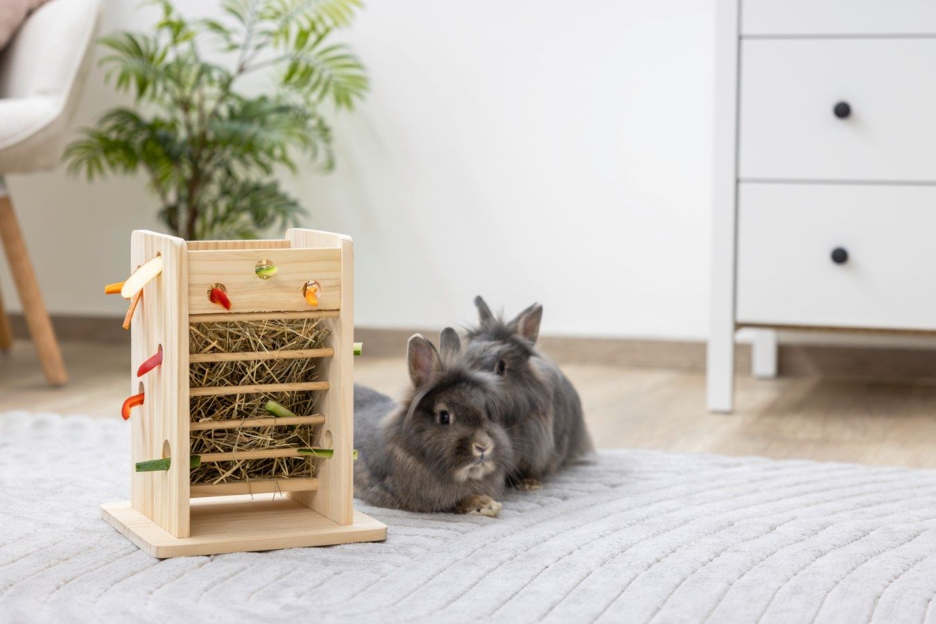 Heuturm & Gemüseturm für Nager aus Holz, im Einsatz