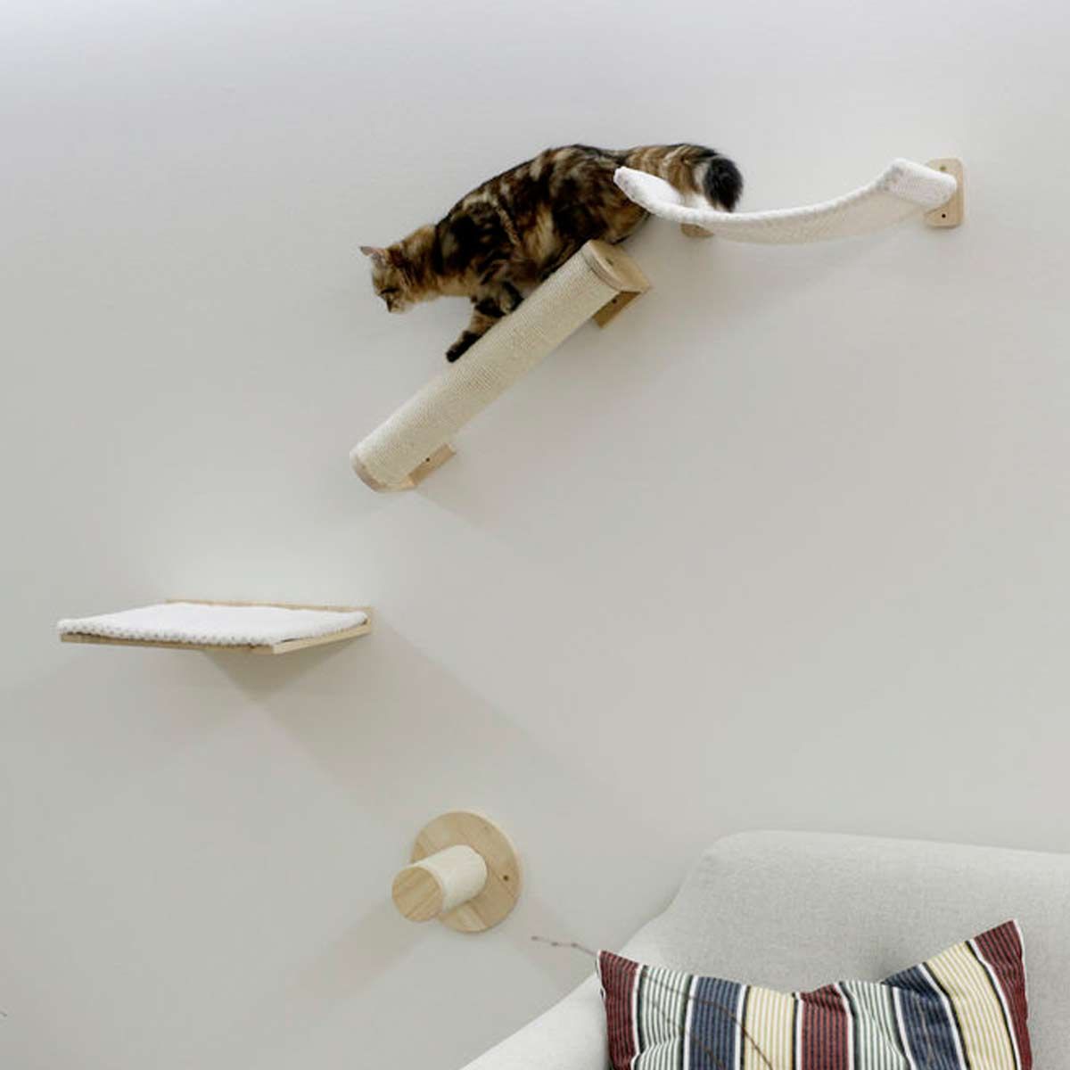 Kerbl Katzen Kletterwand Alps, 4-teilig, Massivholz, im Einsatz