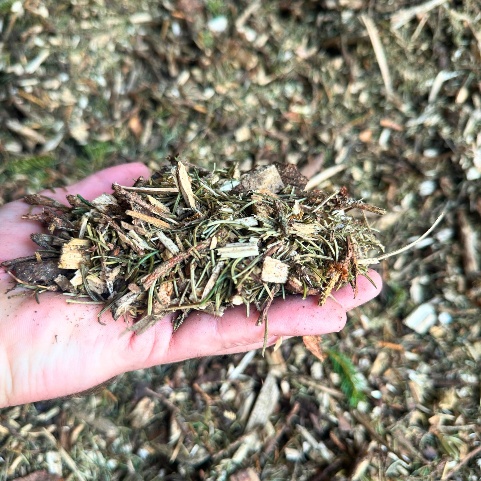 Une main tient un tas de matière végétale séchée et de copeaux de bois
