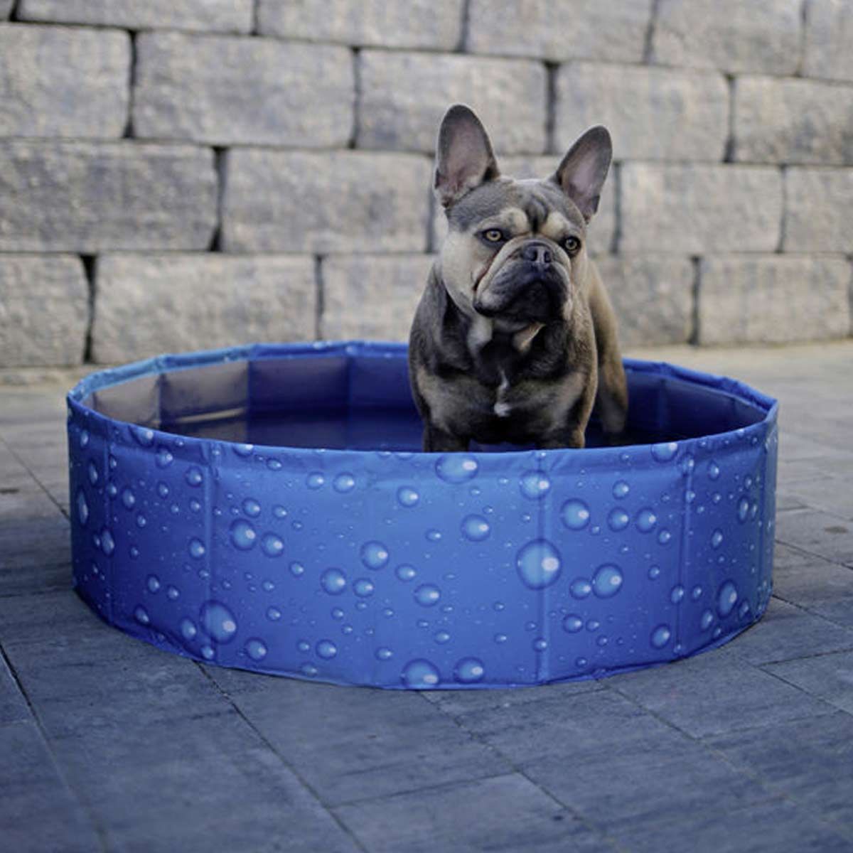 Kerbl Bulle de piscine pour chien 120 cm