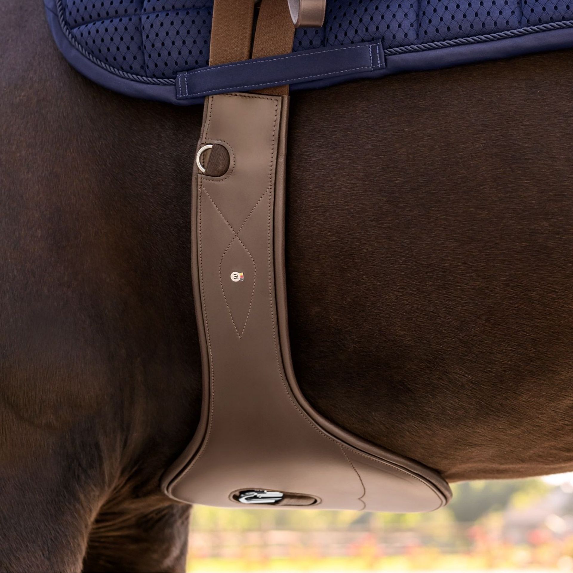 saddle, stirrups, girth, brown leather, horse tack