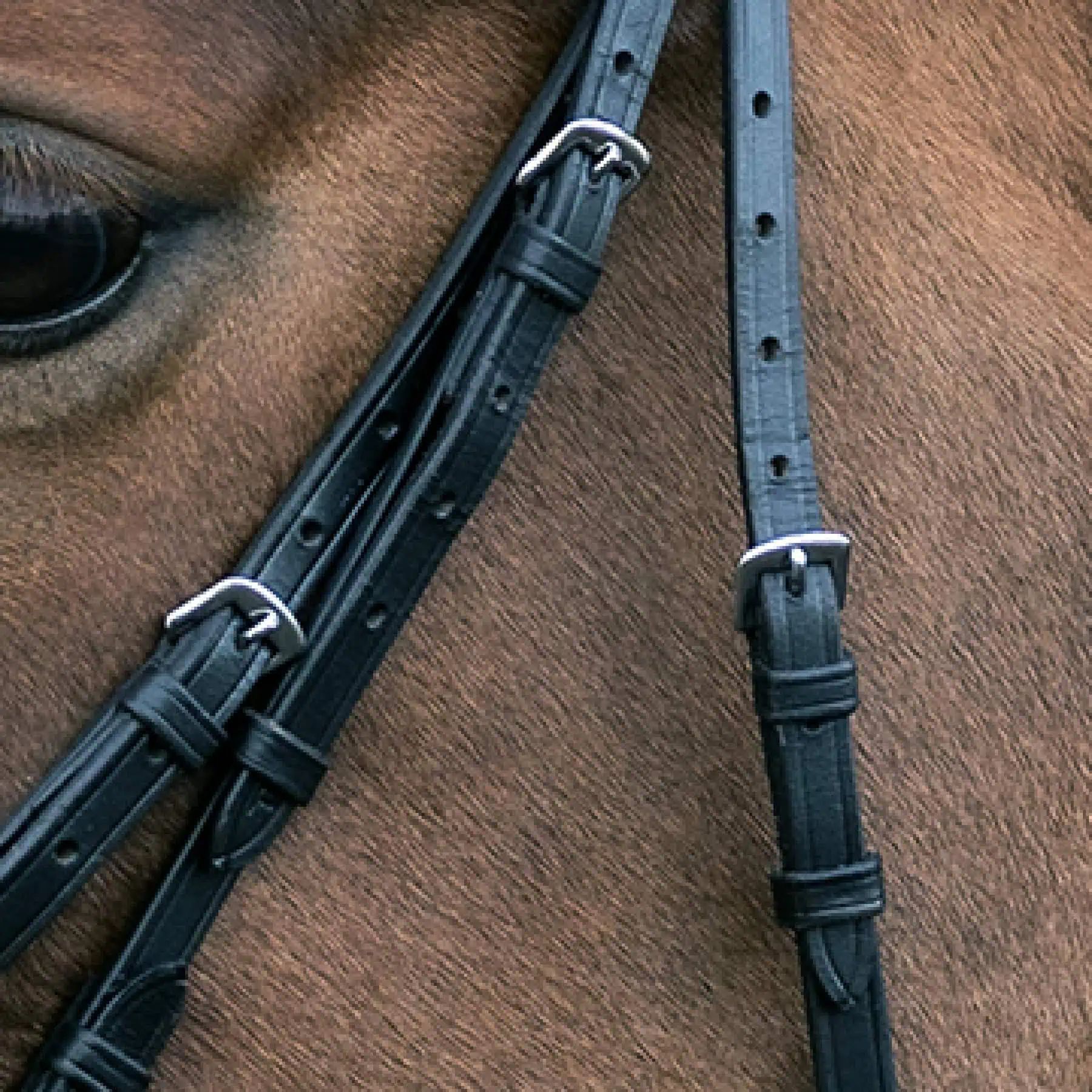STAR Bridon Hannover, Muserolle Rembourrée, Bouclerie Nickelée, FULL