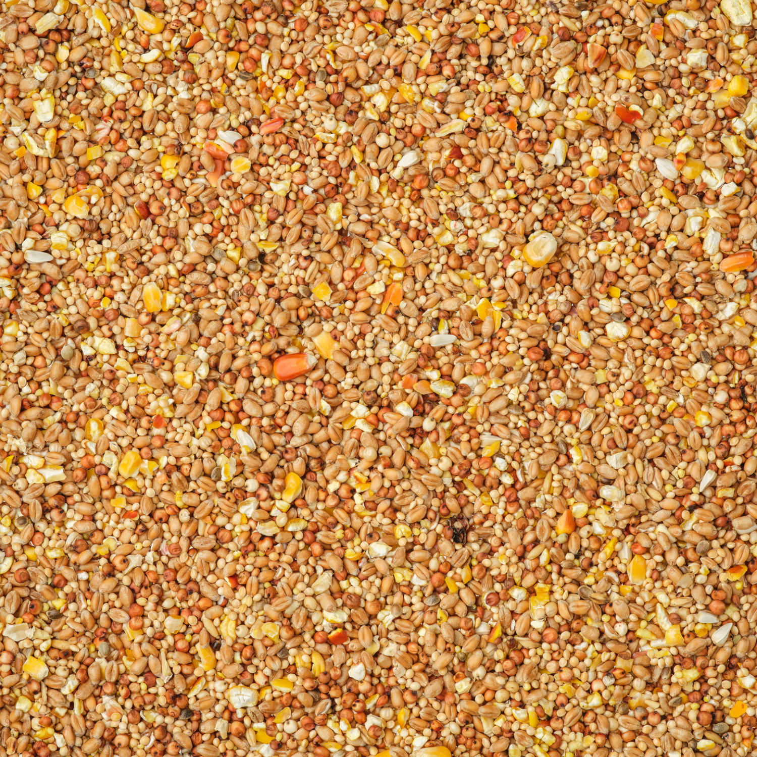 Aliments pour canards Leimüller