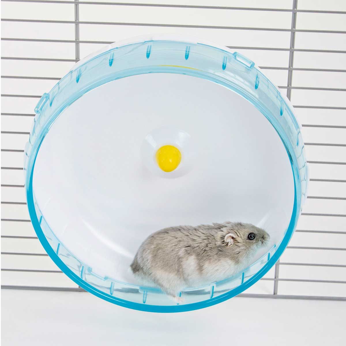 Kerbl Hamsterlaufrad Kunststoff, Ø 20 cm für Hamster & Kleinnager, im Einsatz