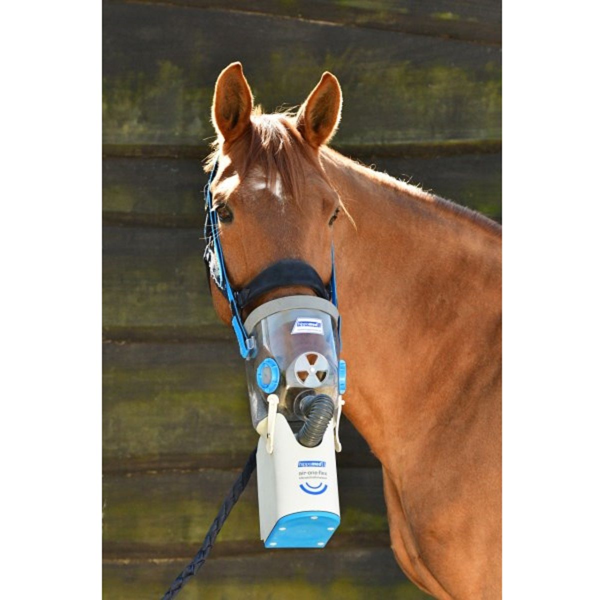 Hippomed Air One Flex Battery Ultrasound Inhaler Horse, Warmblood Mask, in use