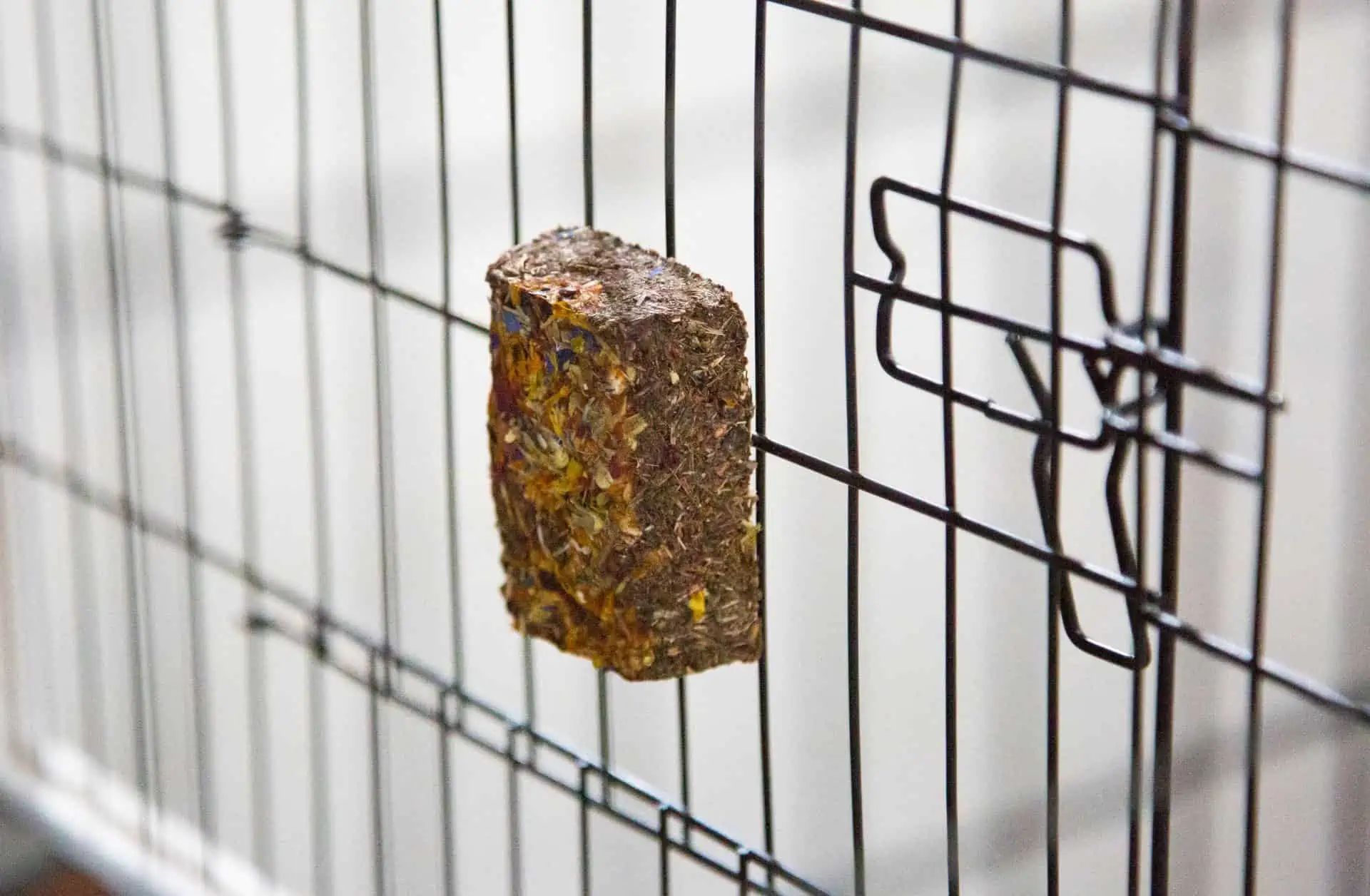 Kerbl Native Snacks Hay Rodent Stone for Small Pets, 35 g