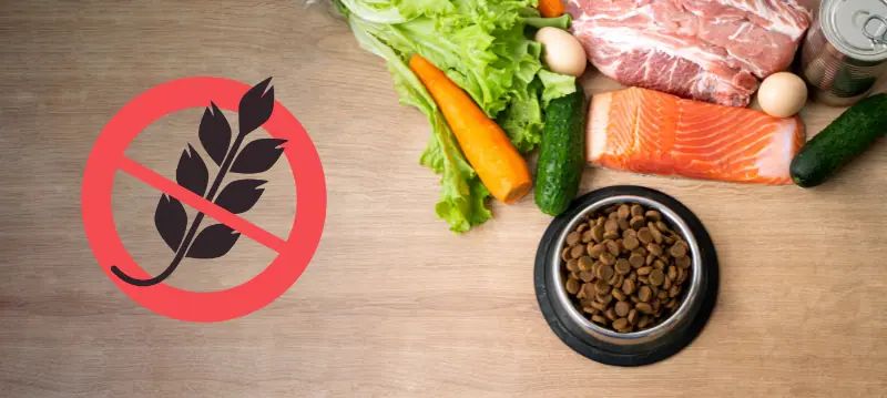 Nourriture pour chien sans céréales