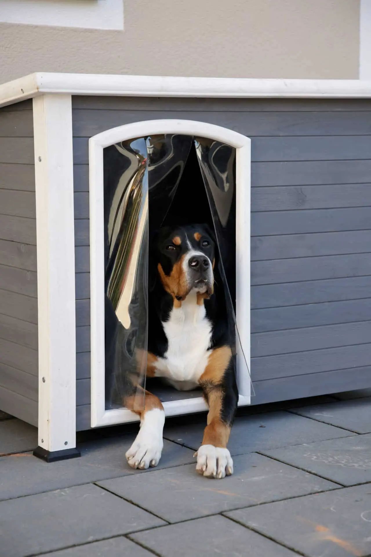 Niche pour chien Kenny Kerbl, gris/blanc, 113 x 77 x 81 cm, toit bitumé, en utilisation