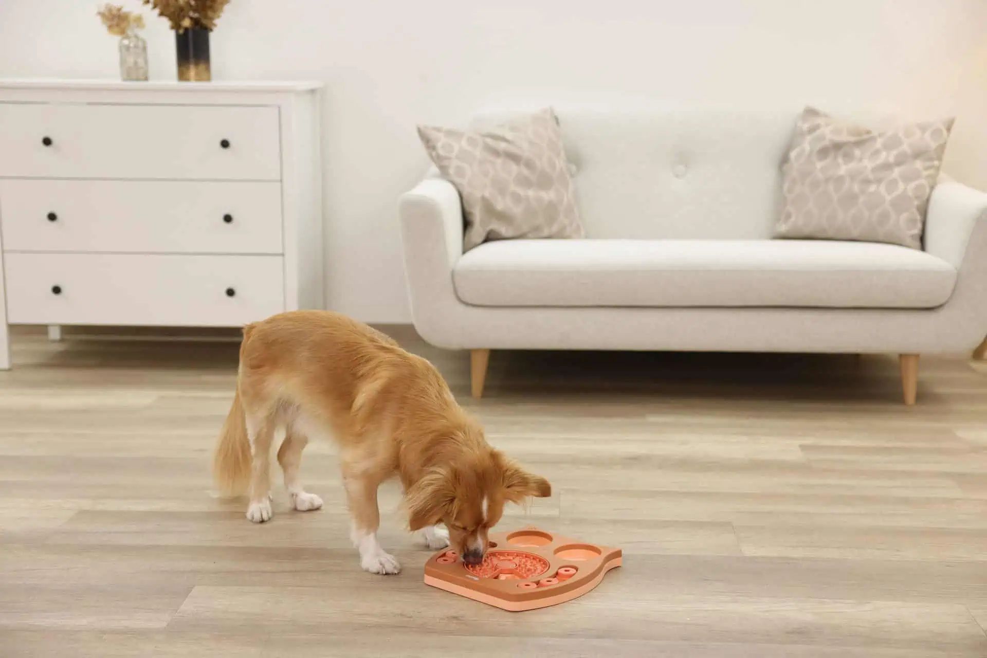 Kerbl Pet Jeu de réflexion et d'apprentissage Owl, chien et chat, en utilisation
