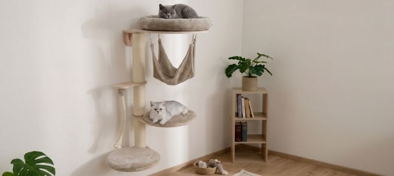 Wall-mounted Cat Tree