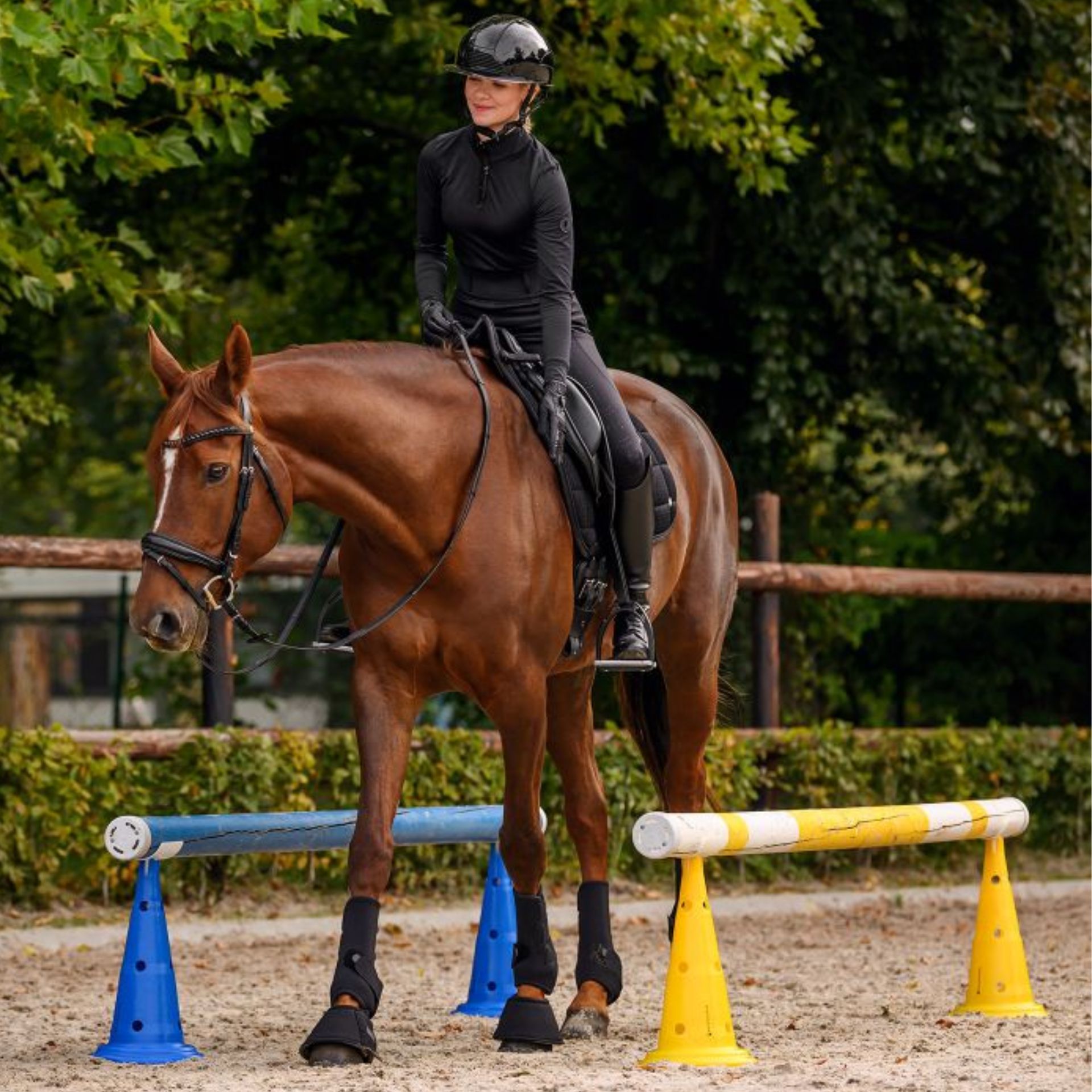 equestrian, horse, rider, jumps, helmet