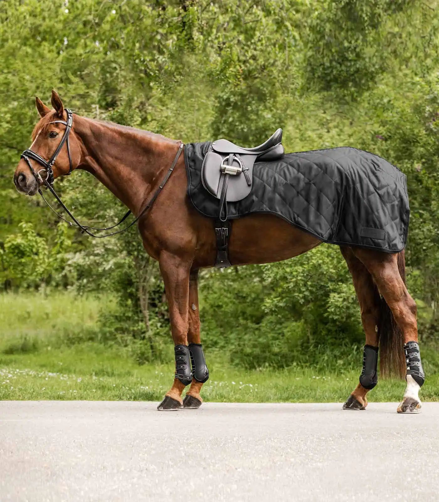Waldhausen Nierendecke Exclusive