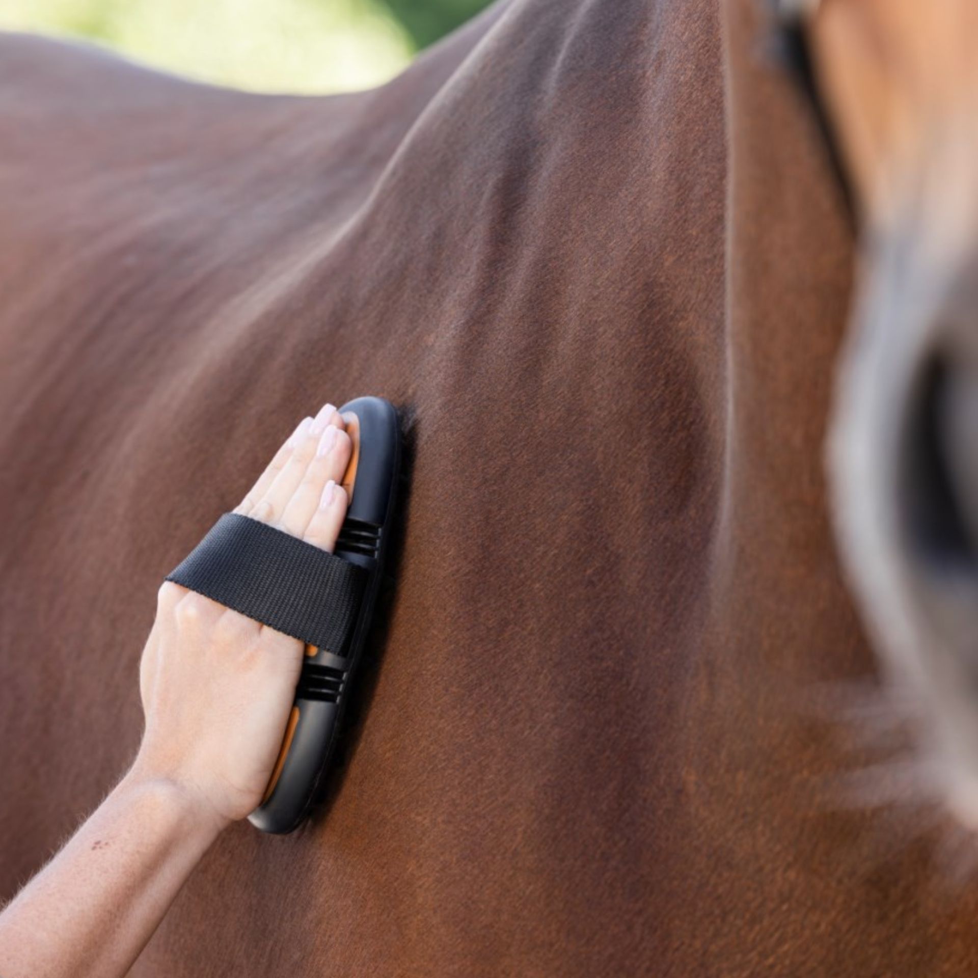 Covalliero Nopp-skrapa Flex 2K, massageborste för hästar, i användning, i handen