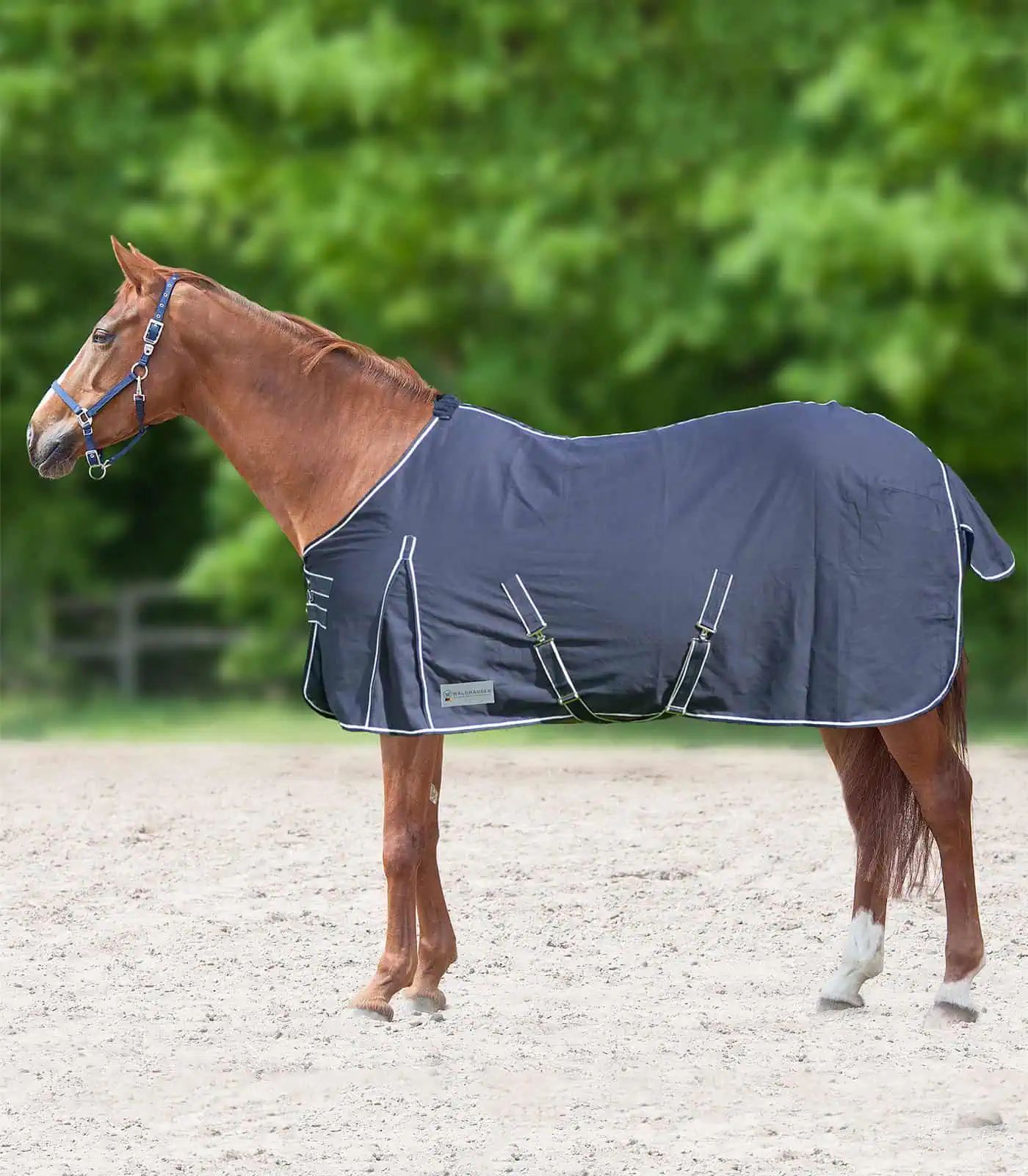 Waldhausen COMFORT Couverture d'écurie et d'été, coton, en utilisation