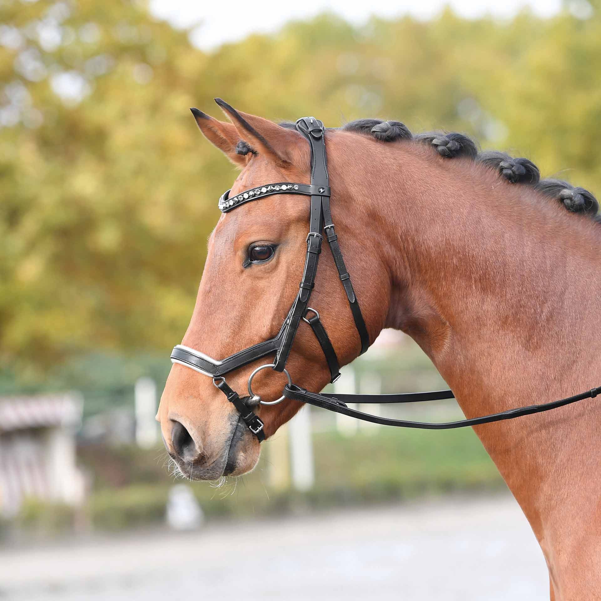 BUSSE Testiera FEELING COB bianco/nero