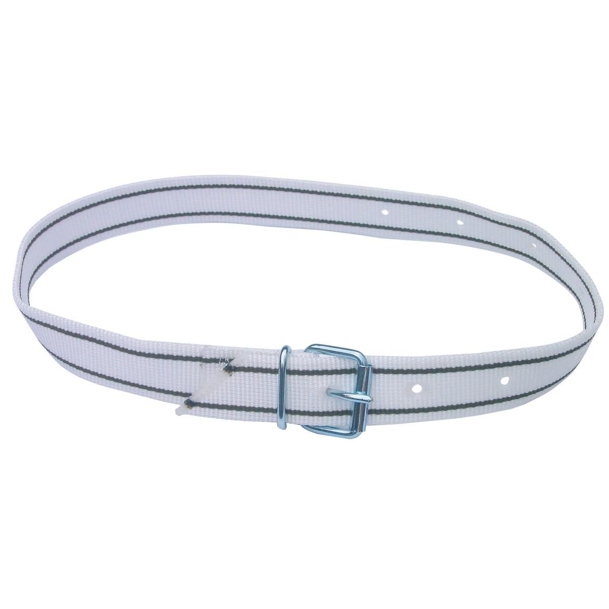 Kerbl Halsmarkierungsband für Rinder, UV-stabiles PP-Gurtband, mit Rollschnalle, 135 cm grün/weiß