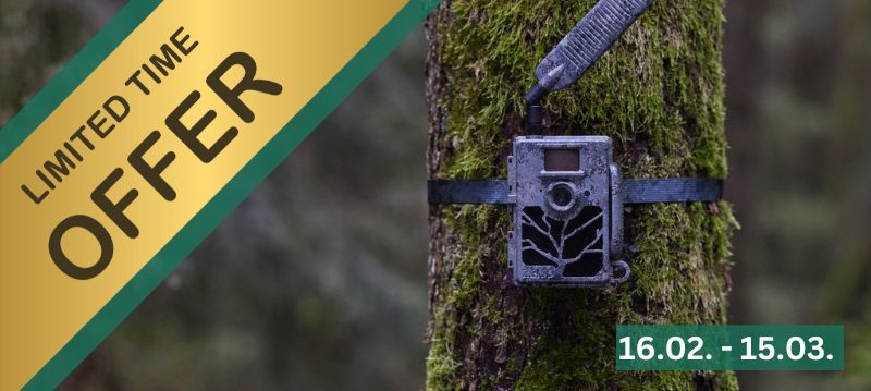 Semaines promotionnelles pour les caméras de surveillance