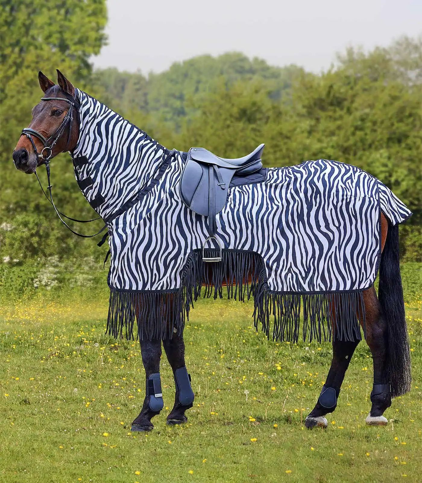 Waldhausen Fliegenausreitdecke Zebra mit Fransen, Insektenschutz, im Einsatz