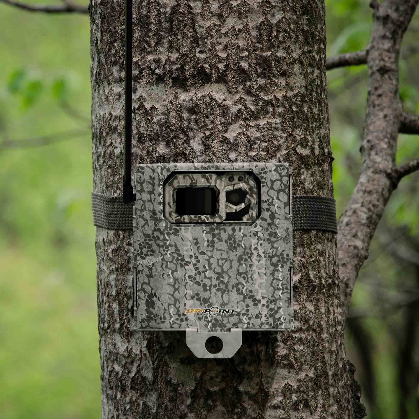 Spypoint SB-300S Sicherheitsbox aus Stahl für Wildkameras, im Einsatz