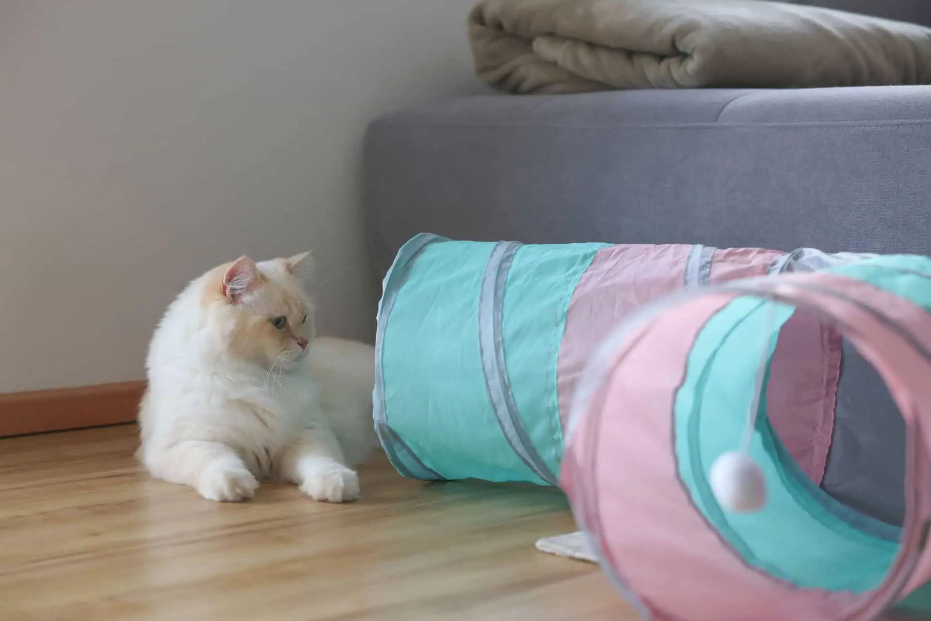 Tunnel pour chat Triangle Kerbl, 4 entrées, 80x50 cm, en utilisation