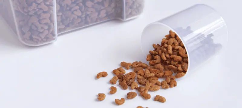 Stockage de nourriture pour chien