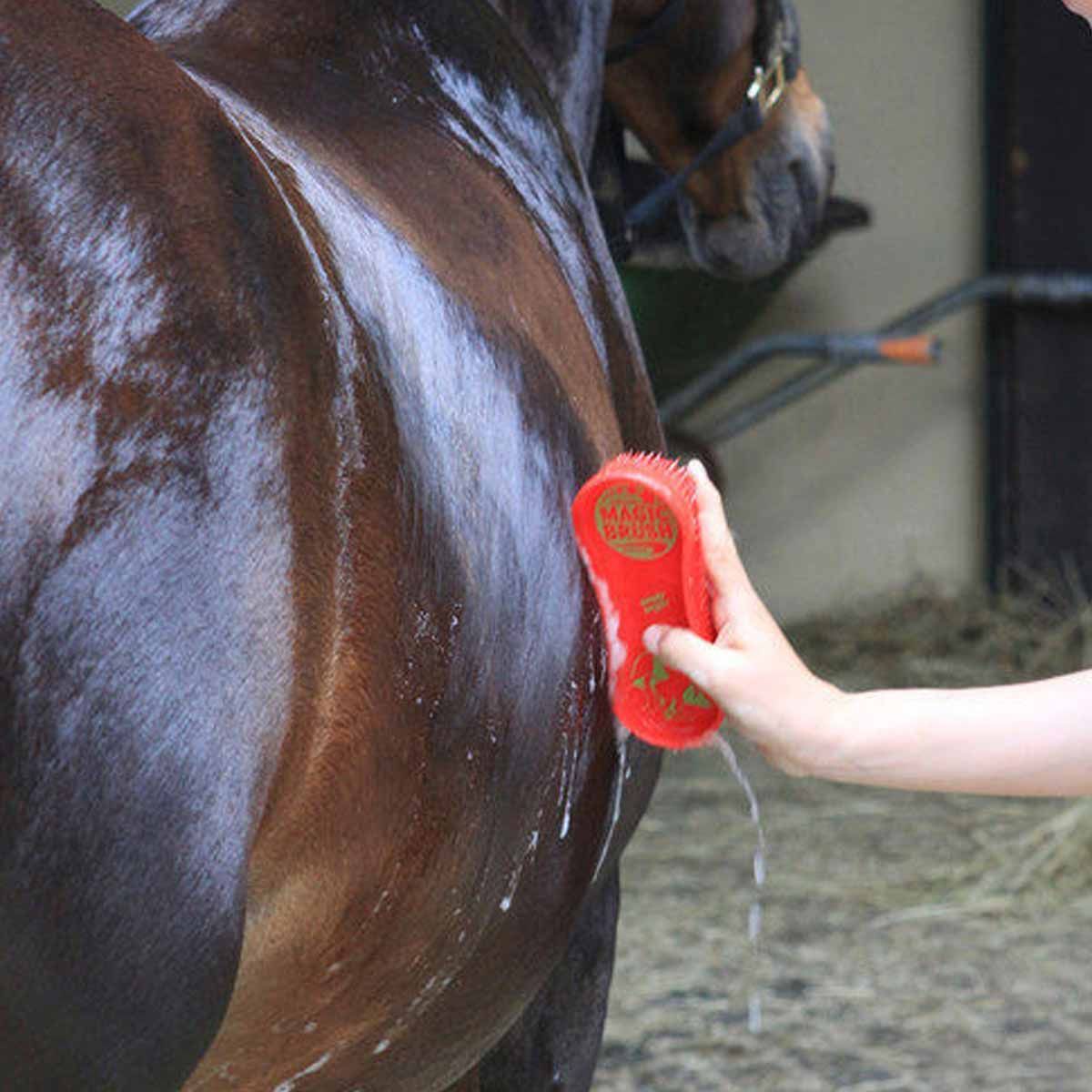 Brosse pour cheval MagicBrush Pink Pony, imprimé rose