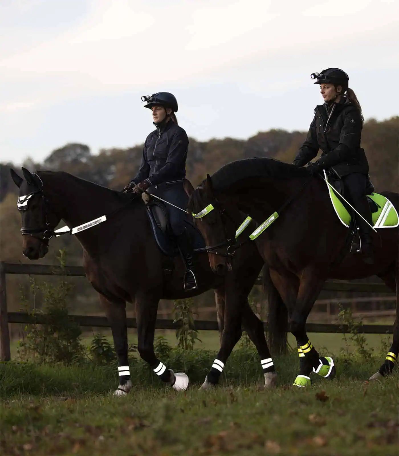 Waldhausen REFLEX Bridle Set, 3-Piece, with Silver Reflective Stripes, in use