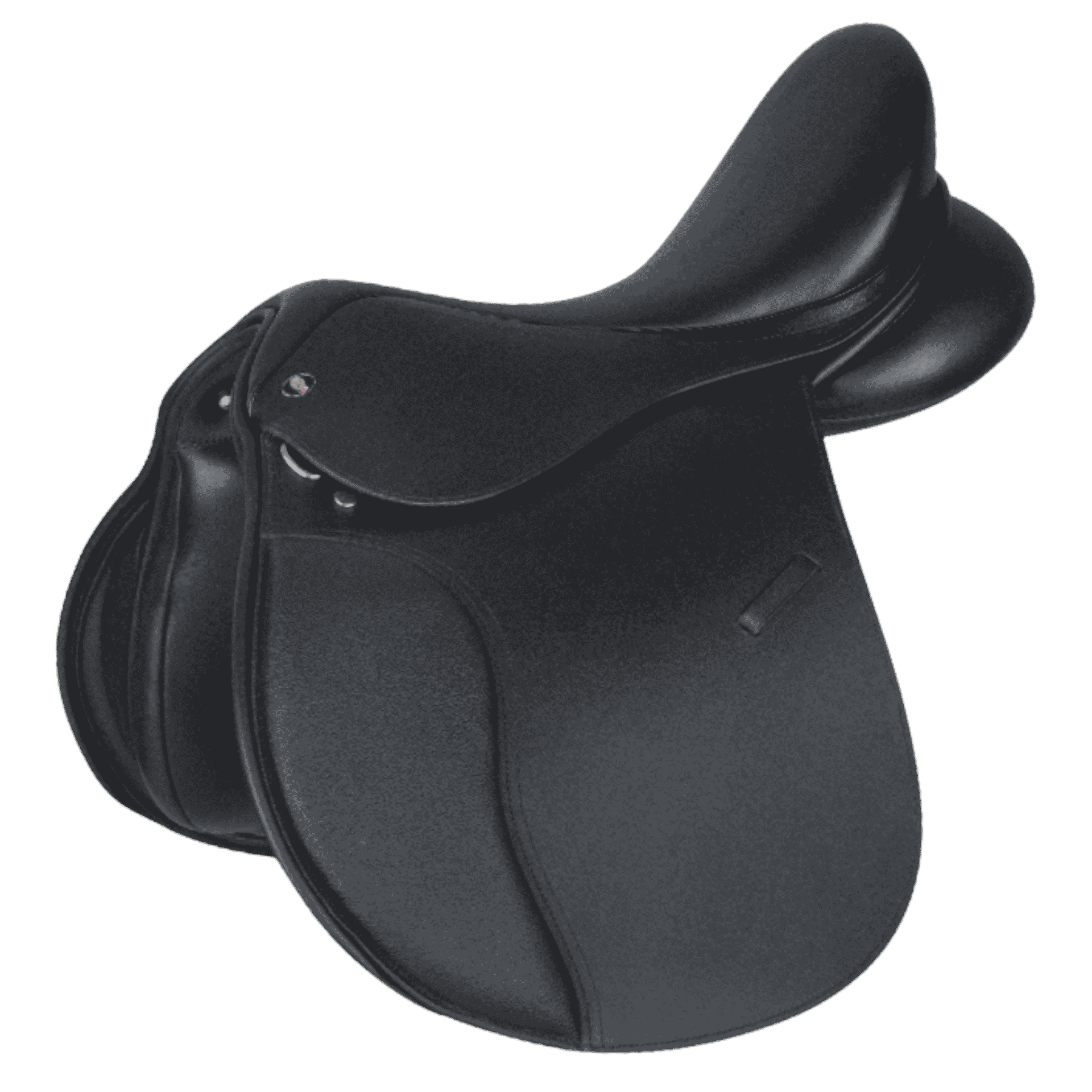 saddle, equestrian, black, leather, stirrups?, note: avoid duplication