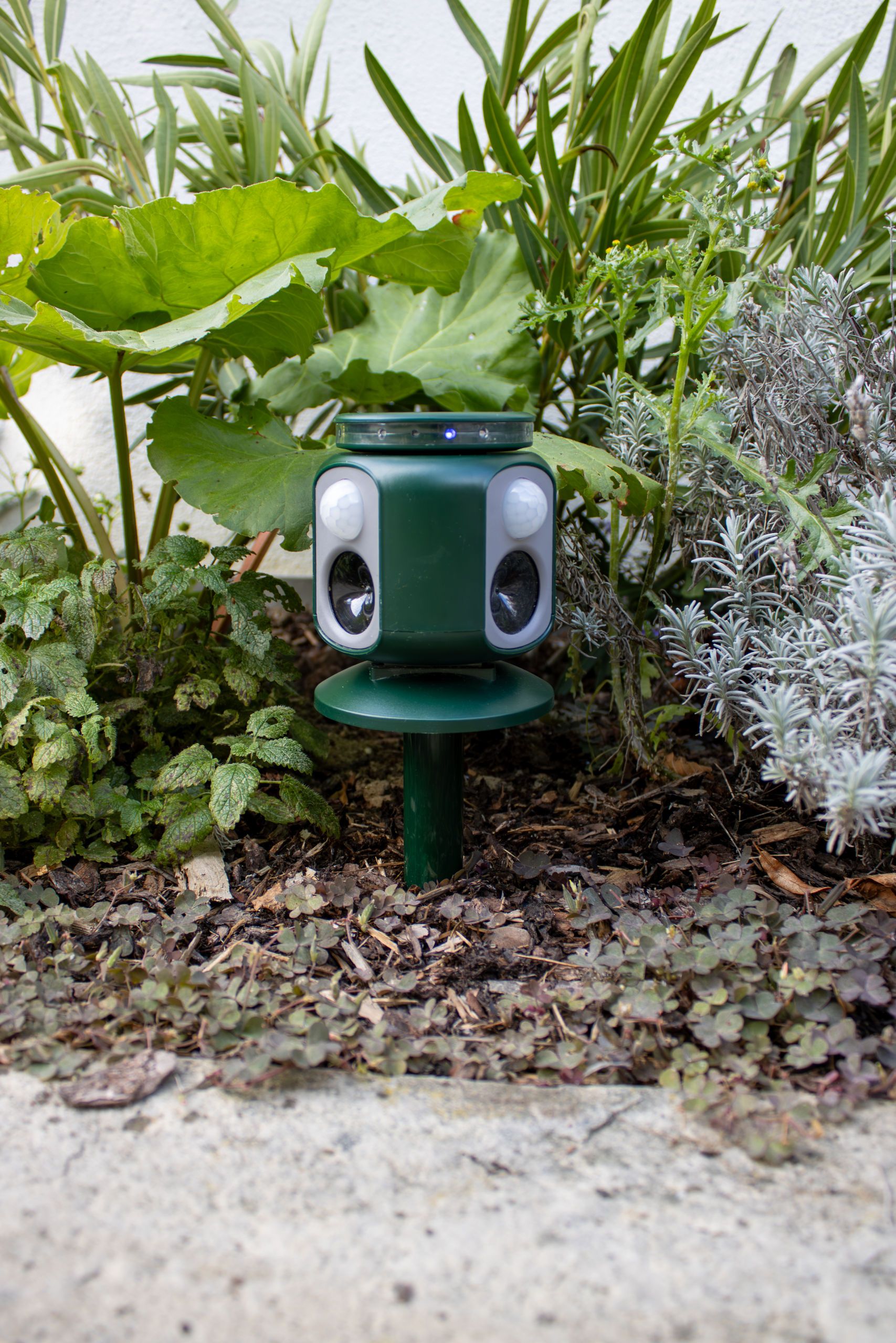 Gartenleuchte, Solarlampe, grüne Laterne, Außenbeleuchtung, Landschaftsgestaltung Deko