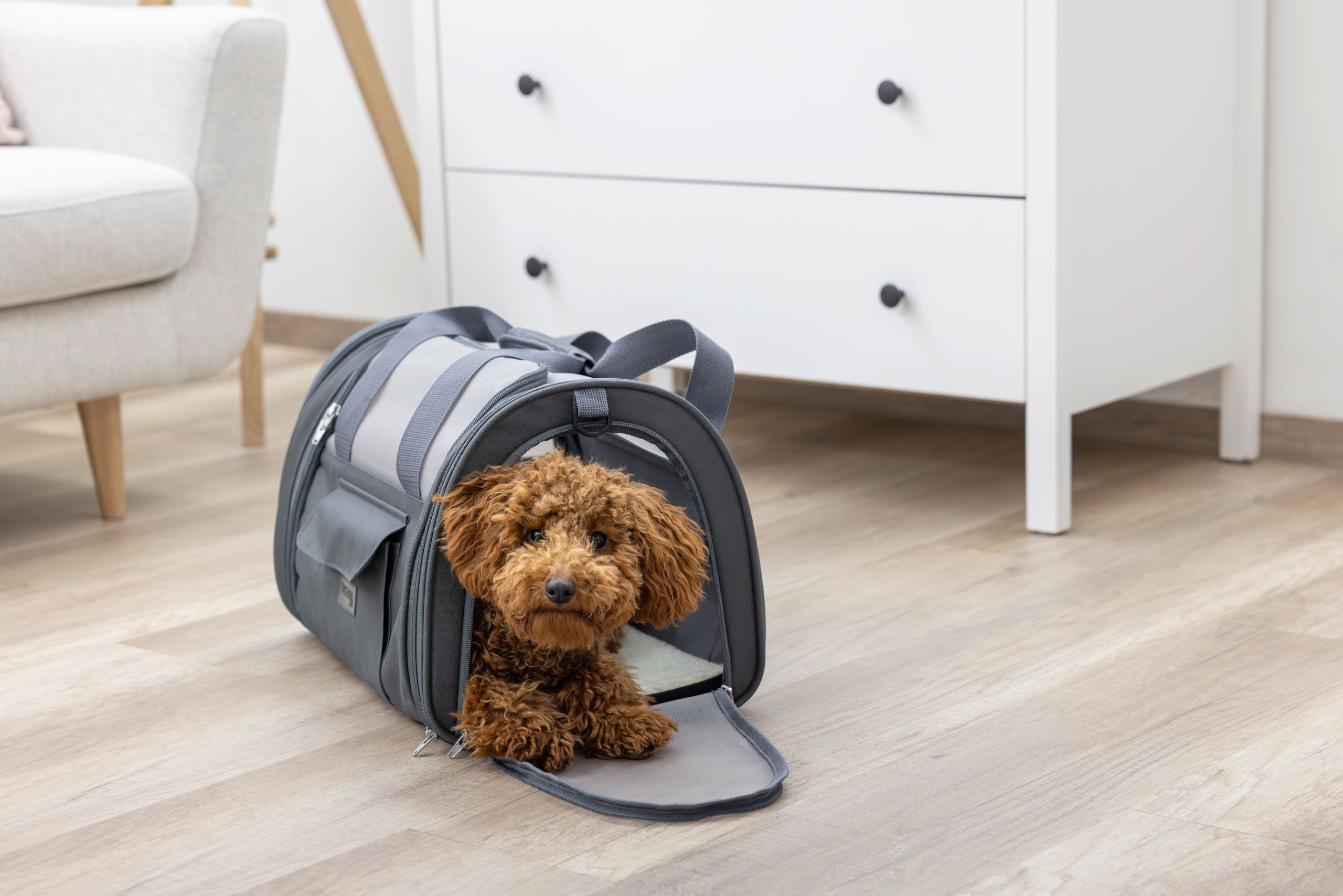 Kerbl Vacation Air Transportväska hund & katt, 43x28x28 cm