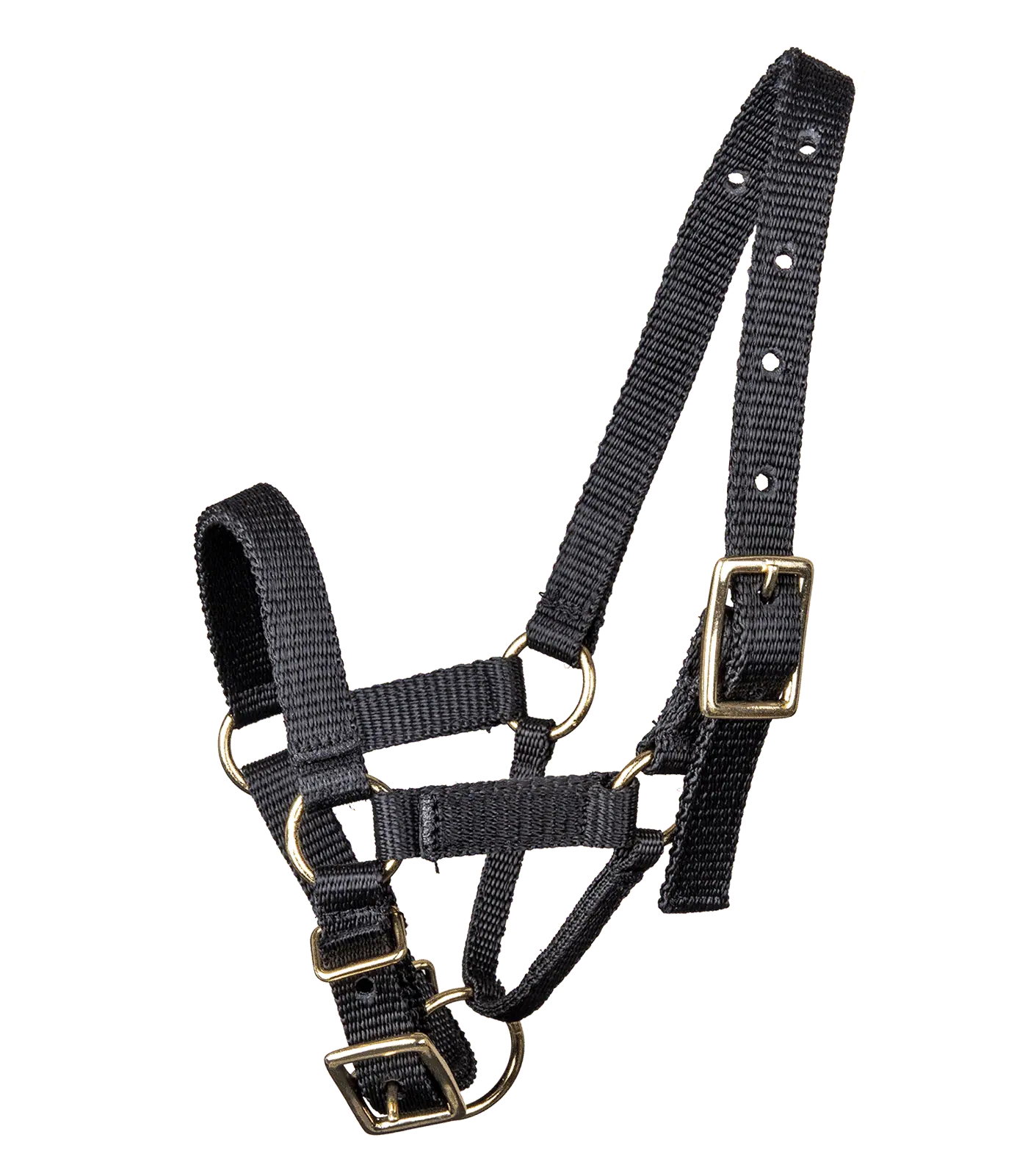 Waldhausen Alpaka Halfter, mehrfach verstellbar, schwarz, M