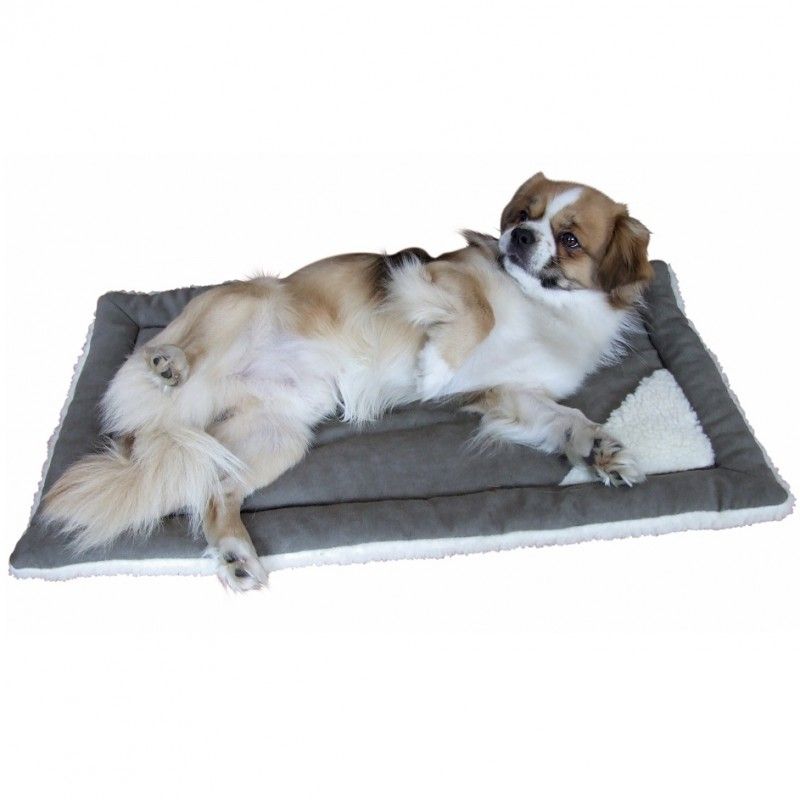 Kerbl Liegekissen Cleo Wendekissen Einlage für Transportboxen, 48 x 29 cm