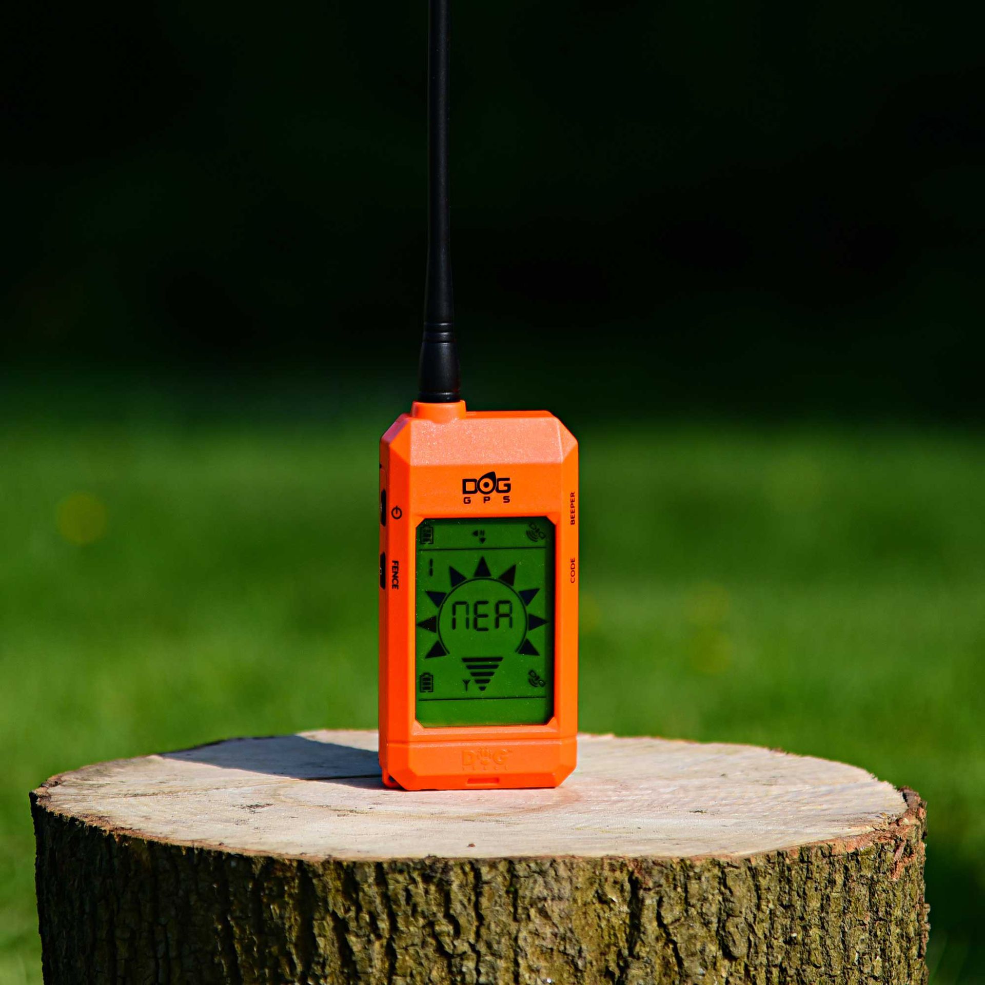 Dogtrace X20 GPS-Handgerät, im Einsatz