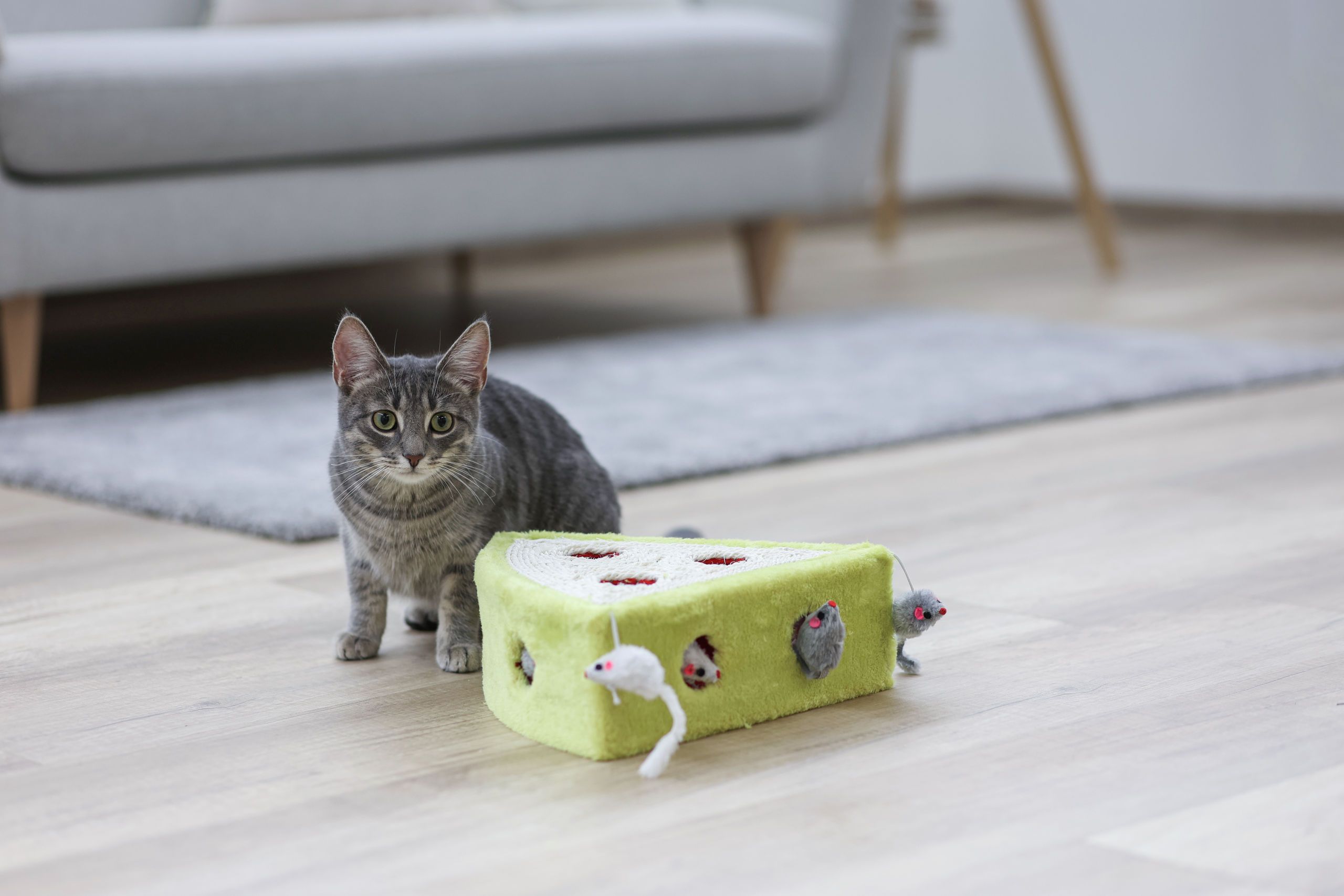 Kerbl Pet Jucărie Sisal pentru Pisici CHEESY, Formă de Brânză cu Șoareci