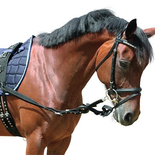 Kerbl Ausbindezügel mit Gummiring 2 Stk. Pony