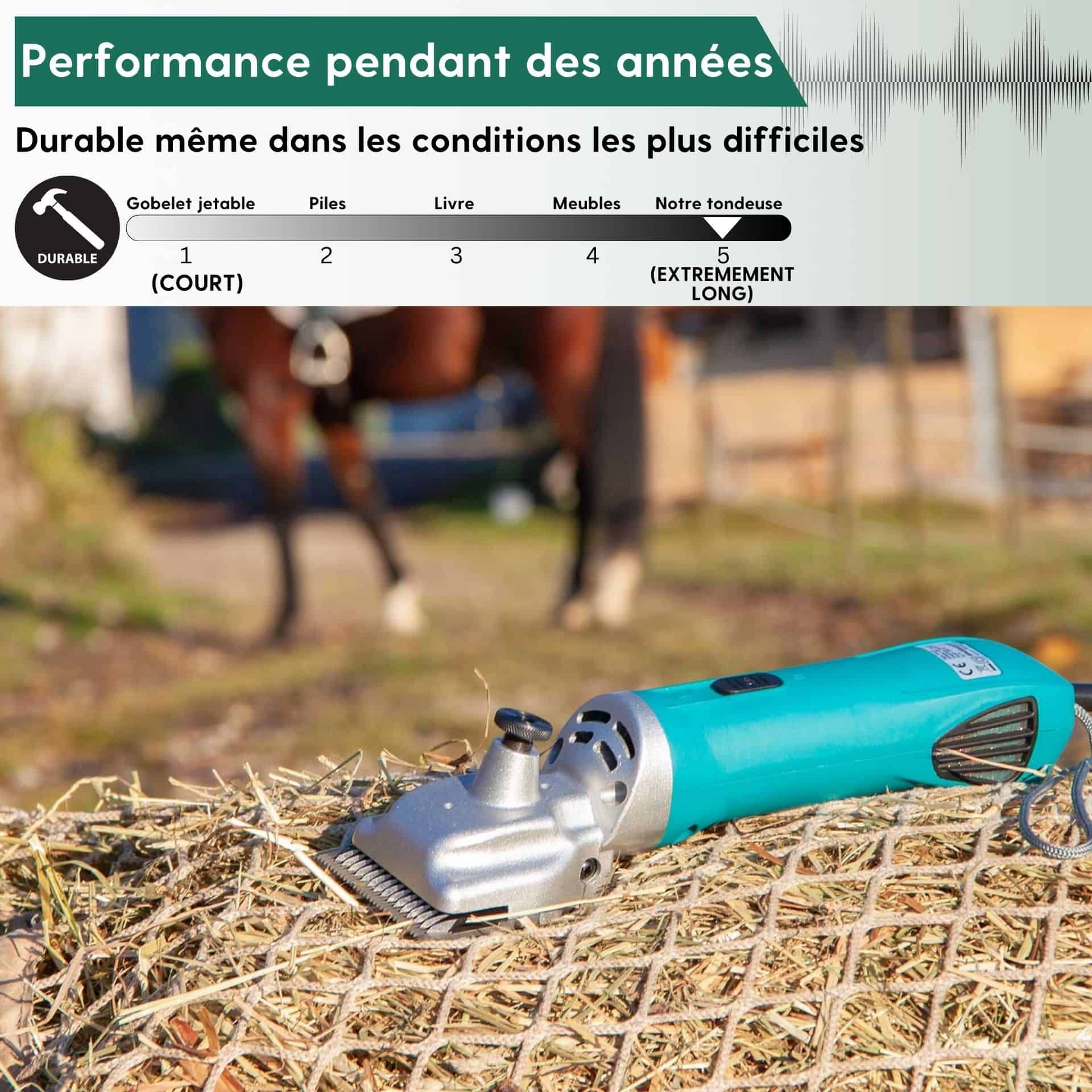 Tondeuse pour chevaux Agrarzone PowerCut 230 V, infographie