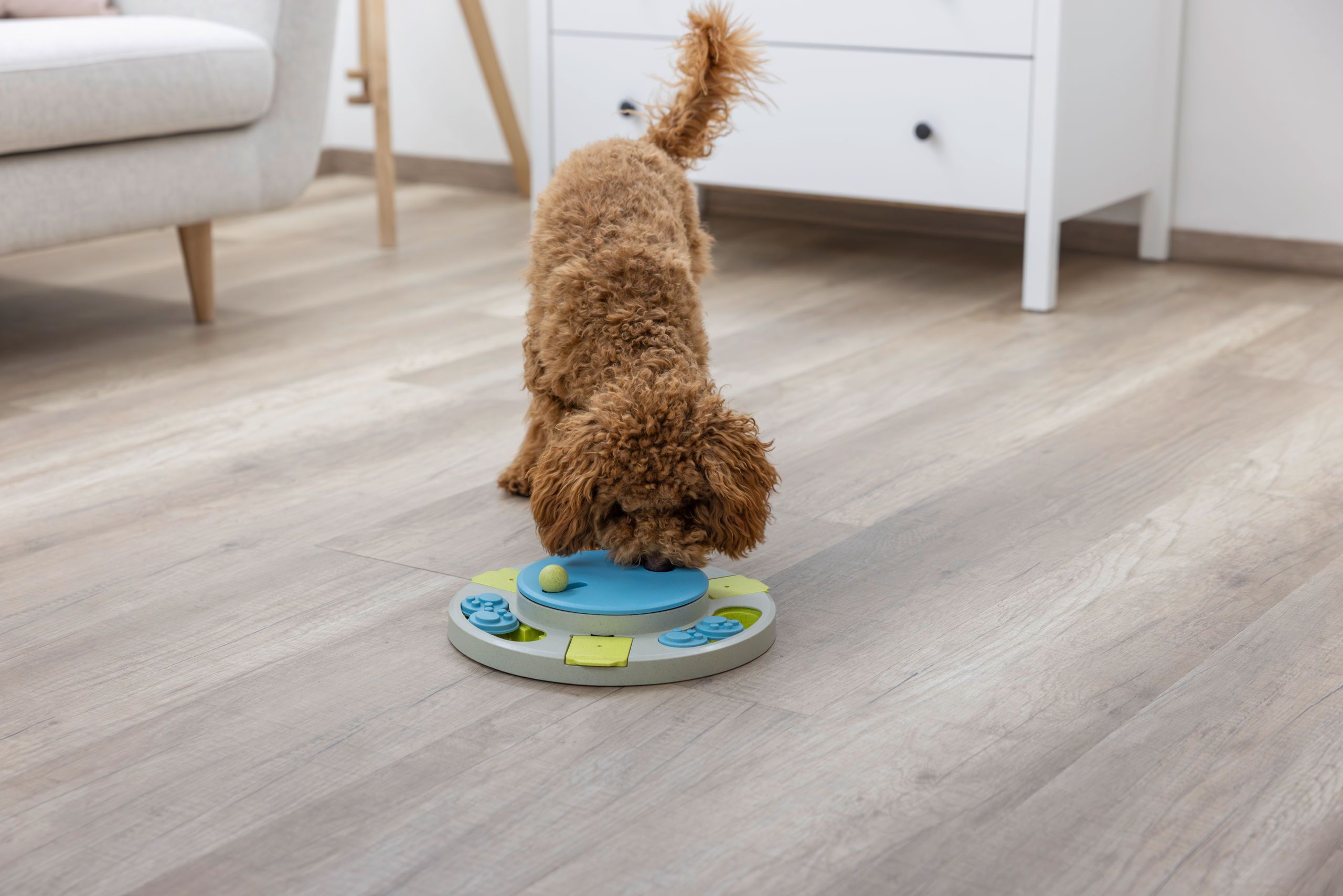 Kerbl Pet Intelligenzspielzeug Turnley Drehteller, Ø 27 cm